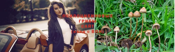 прущие крисы Алзамай