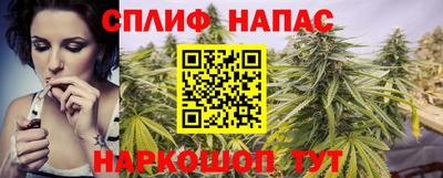 спайс Тара