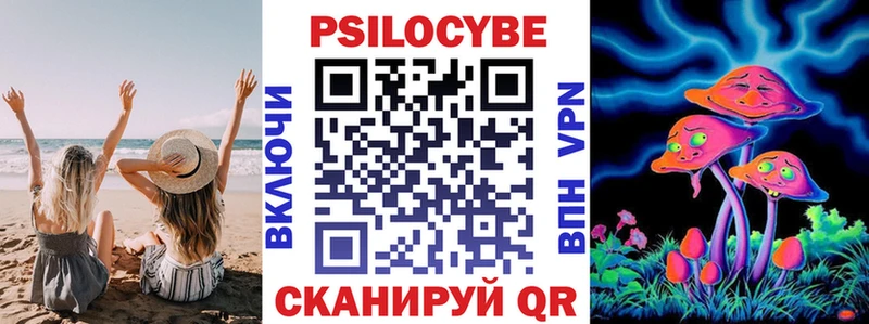 Галлюциногенные грибы Psilocybine cubensis  как найти   Старый Оскол 