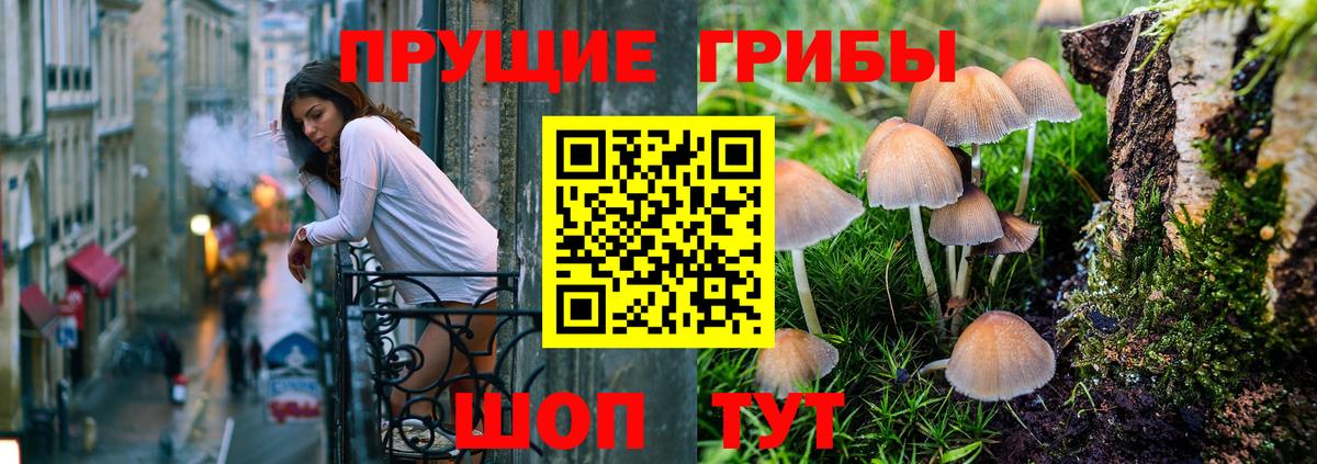 Псилоцибиновые грибы ЛСД Старый Оскол