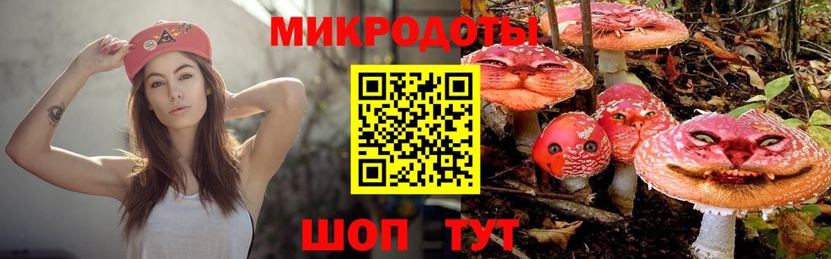 купить   Галлюциногенные грибы Magic Shrooms  Вход с VPN  Старый Оскол 